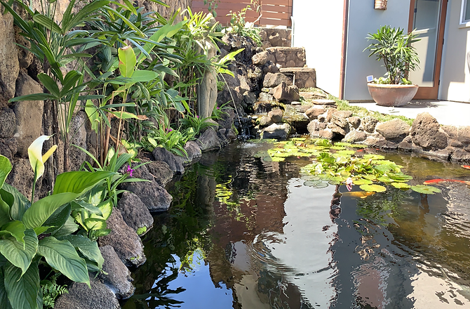 Pond — Honolulu, HI — Shangri La Outdoor Designs