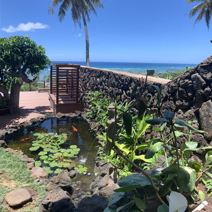 A Photo Of Pond — Honolulu, HI — Shangri La Outdoor Designs