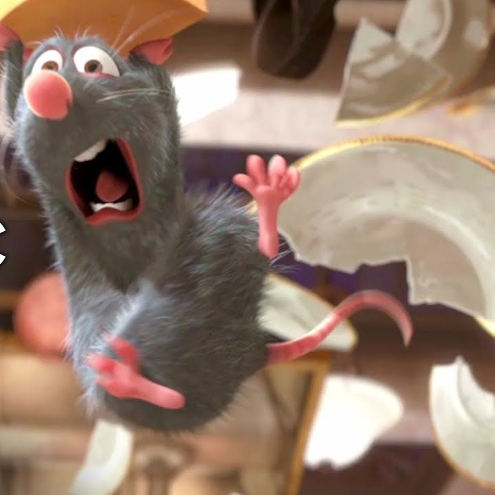 “Ratatouille”