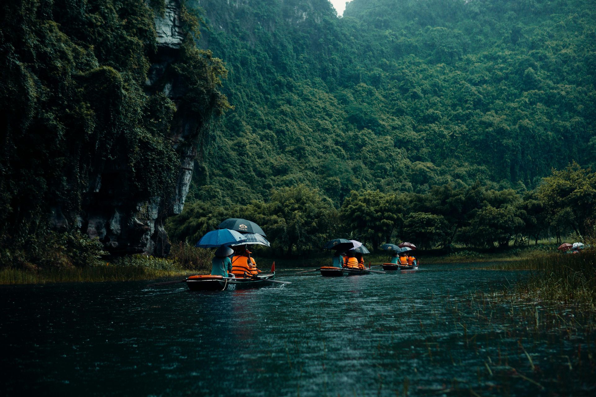 A group of people are rowing boats down a river surrounded by trees.