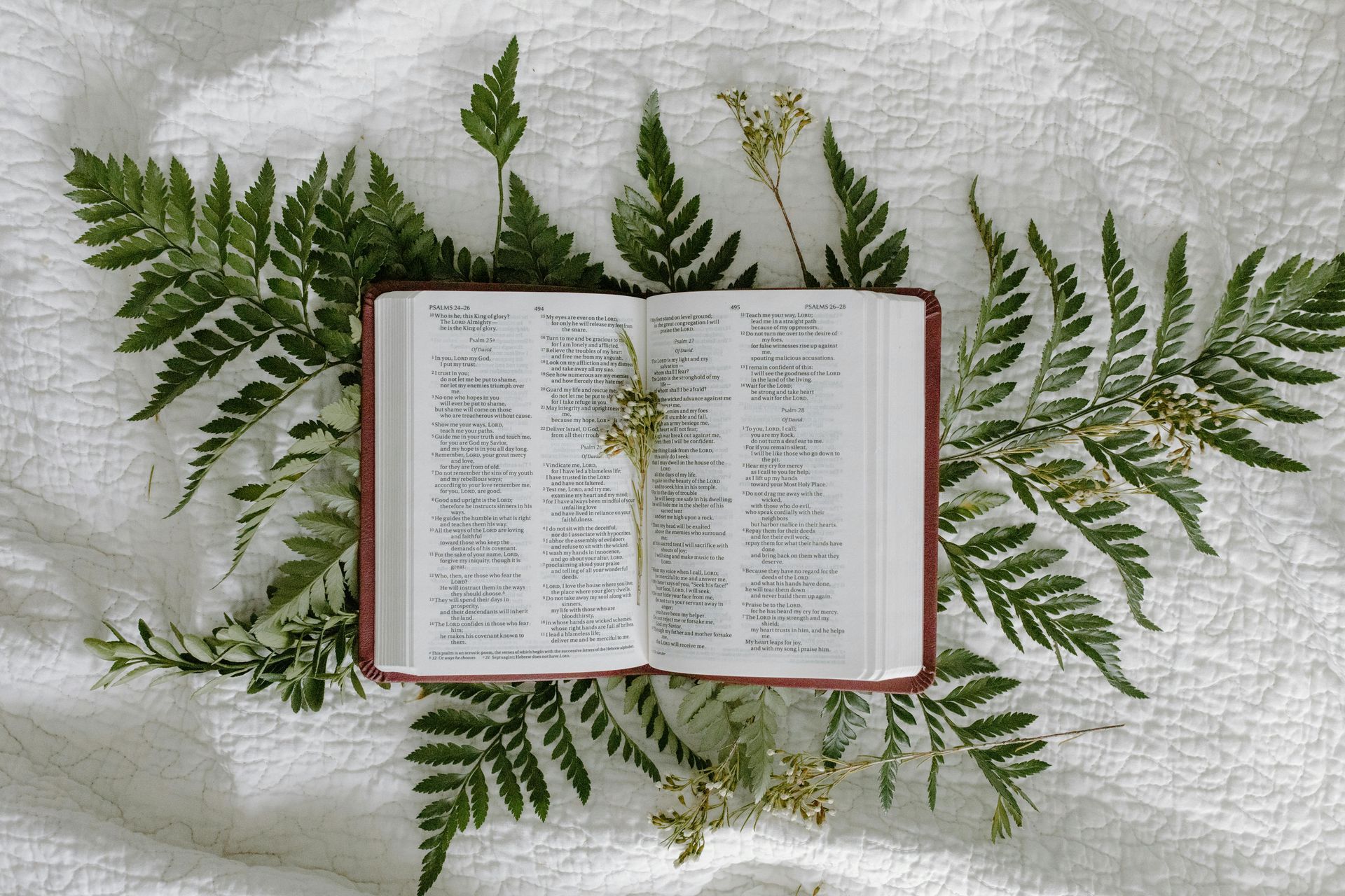 Rediscovering Faith: The Bible Beyond Tradition and Context