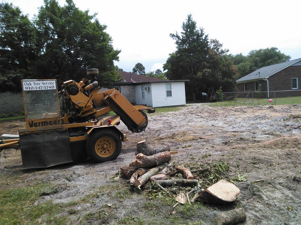 Stump removal — Wilmington, NC — Oak Tree Service, Inc.