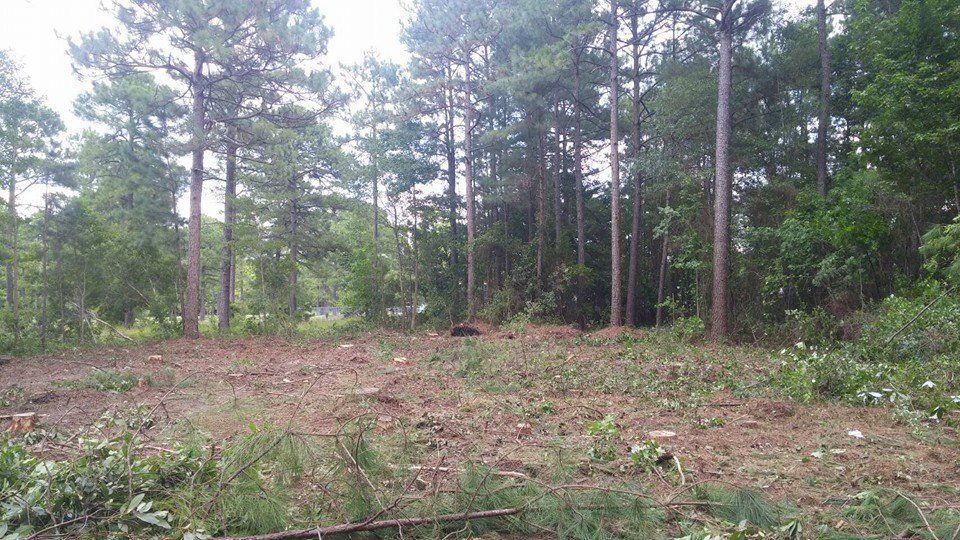 Lot clearing — Wilmington, NC — Oak Tree Service, Inc.