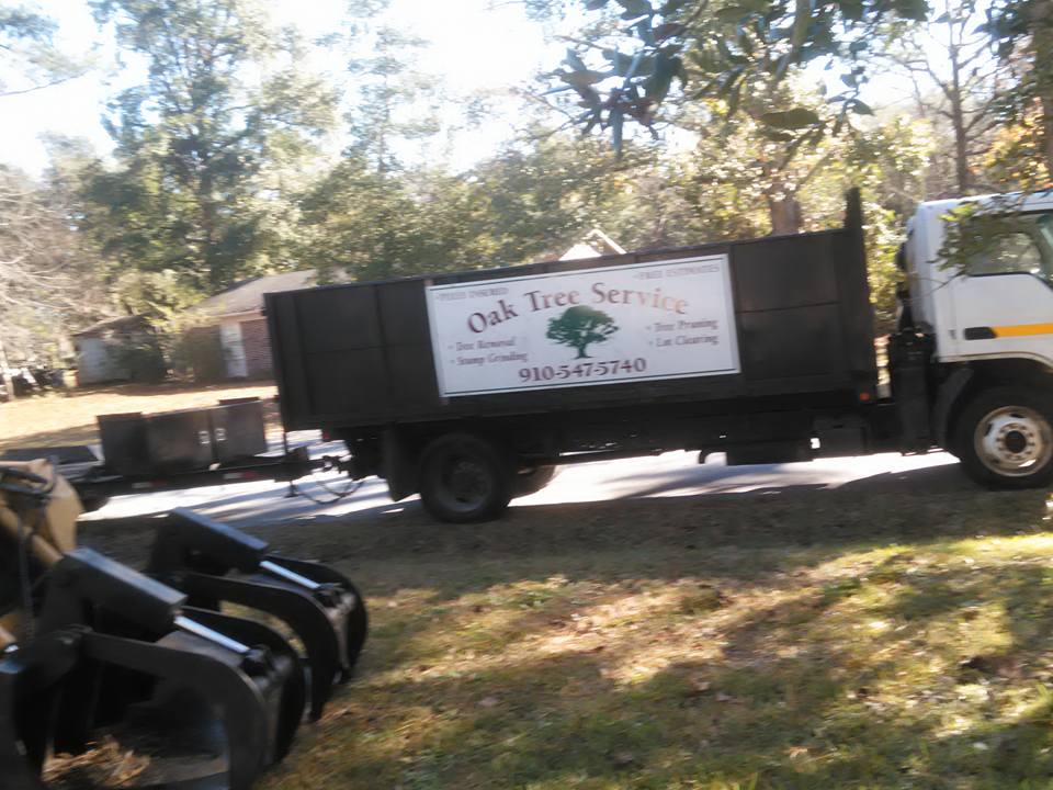 Tree services — Wilmington, NC — Oak Tree Service, Inc.