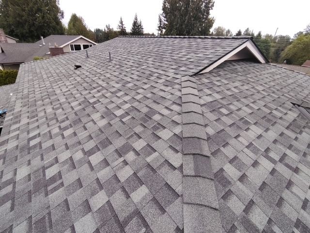 Gray shingled roof with a ridge line, viewed from above, with trees and houses in the background