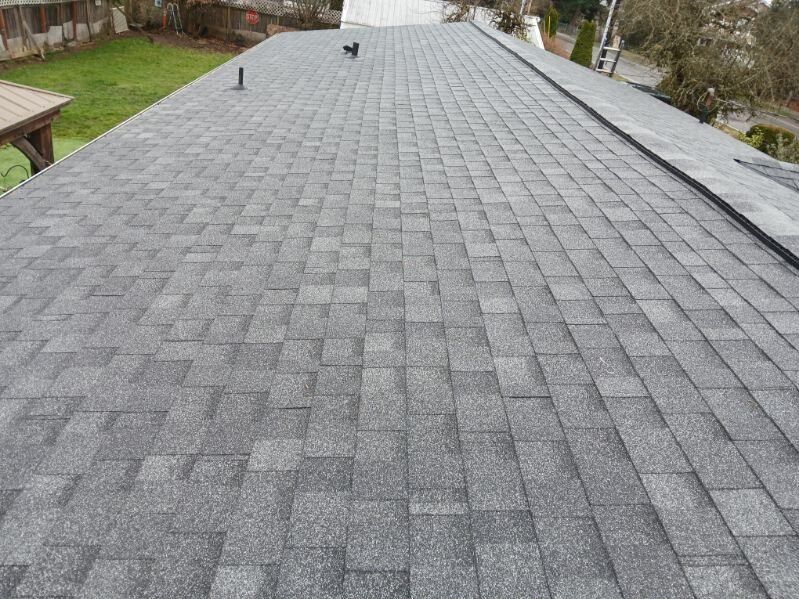 Gray shingled rooftop viewed from above, with vents and trees in the background