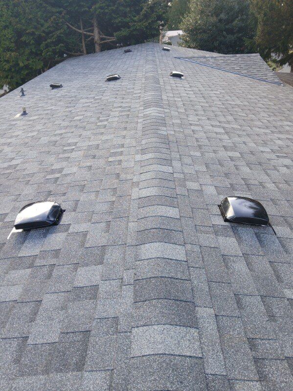 Gray shingled roof with two vents, viewed from above with trees in the background