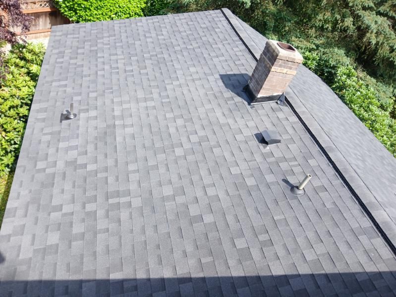 Gray shingled roof with a brick chimney and vent pipes, viewed from above, surrounded by trees