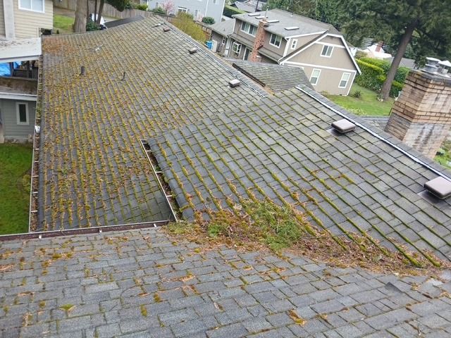 Moss-covered shingle roof slopes down to a lower roof, with neighboring houses in the background.
