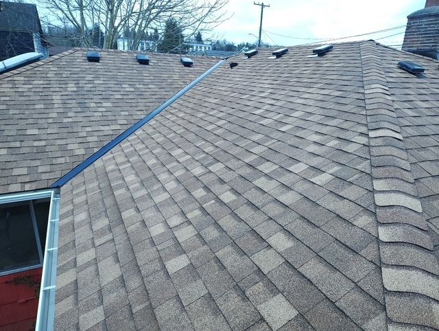 Shingled residential roof with several vents and a visible slope under a cloudy sky