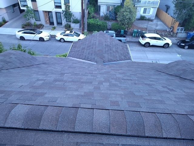 View from a roof over a residential street with parked cars and houses below
