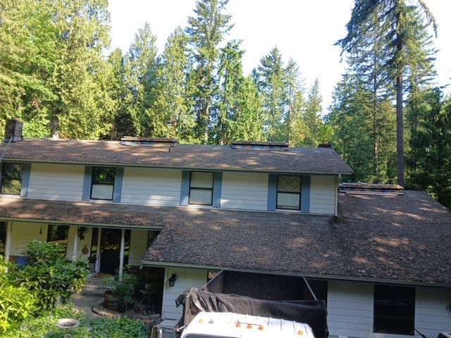Two-story house with brown roof and white siding, surrounded by tall evergreen trees.