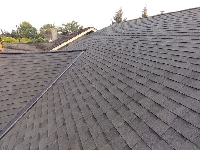 Gray shingled rooftop with a valley seam and trees visible in the background