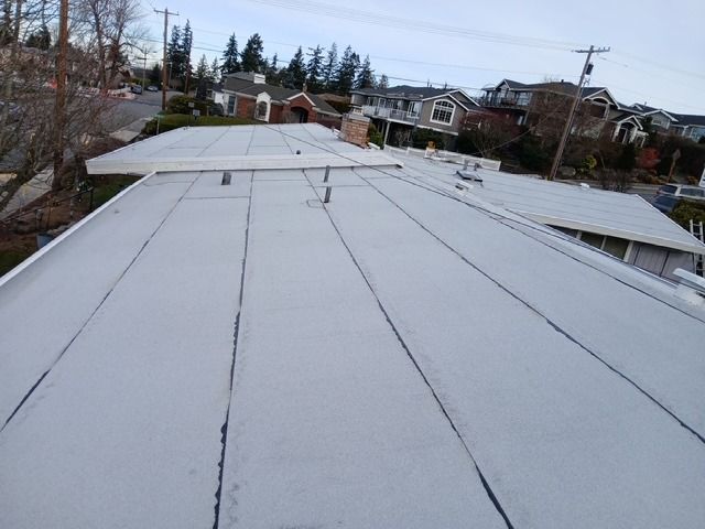 Snow-covered rooftop with houses and trees in the background under an overcast sky