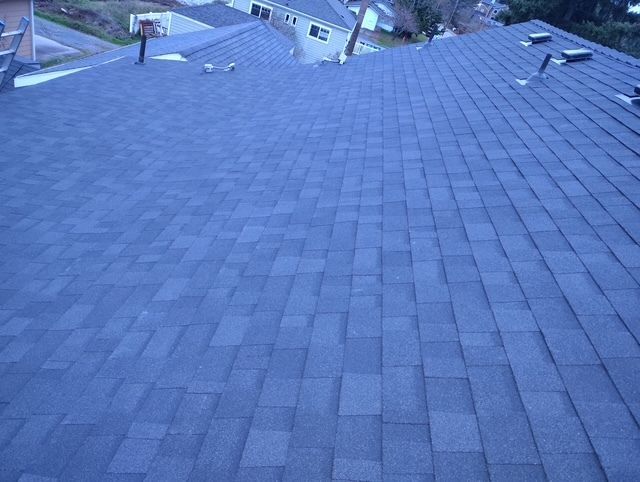 Blue-gray shingled rooftop with vents and neighboring houses visible in the distance.