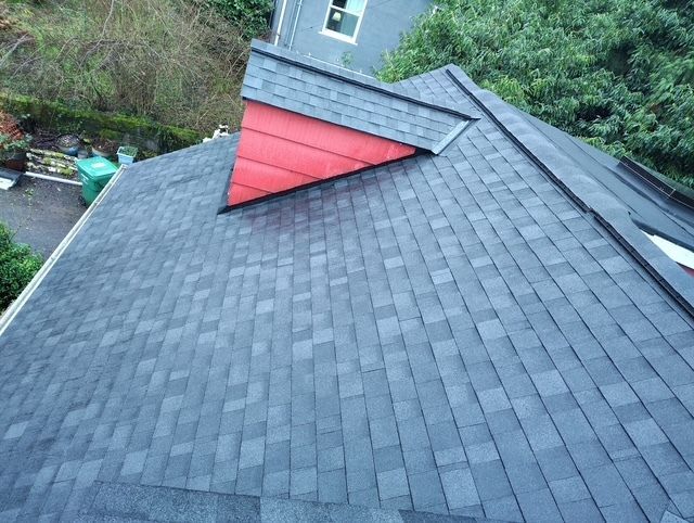 Shingled roof with a red dormer and skylight, viewed from above