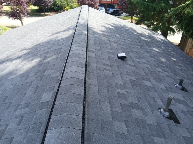 Gray shingled roof with ridge vent, skylight, and two vent pipes under daylight.