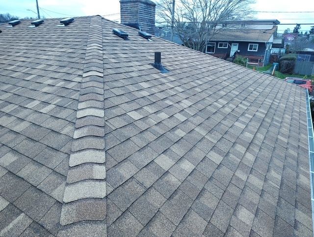 Rooftop with gray shingles and vent pipes, viewed over a residential neighborhood on an overcast day