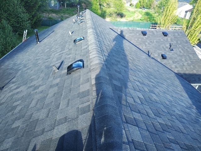 Blue-gray shingled roof with several vents and skylights, viewed from above