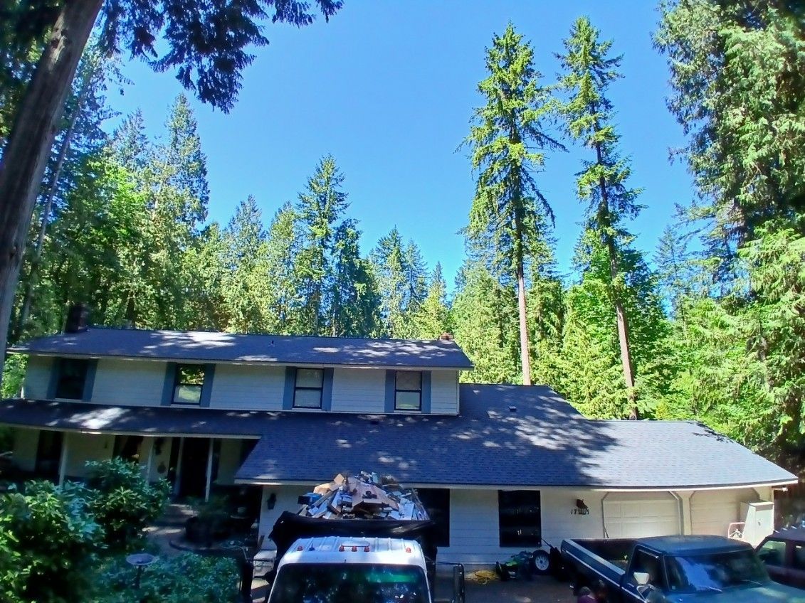Two-story house with parked cars, surrounded by tall evergreen trees under a bright blue sky