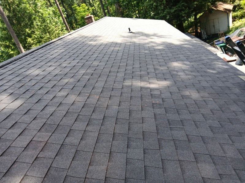 Dark gray shingle roof with a small vent, surrounded by green trees