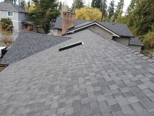 Gray shingled residential roof with a chimney and skylight on a hillside home