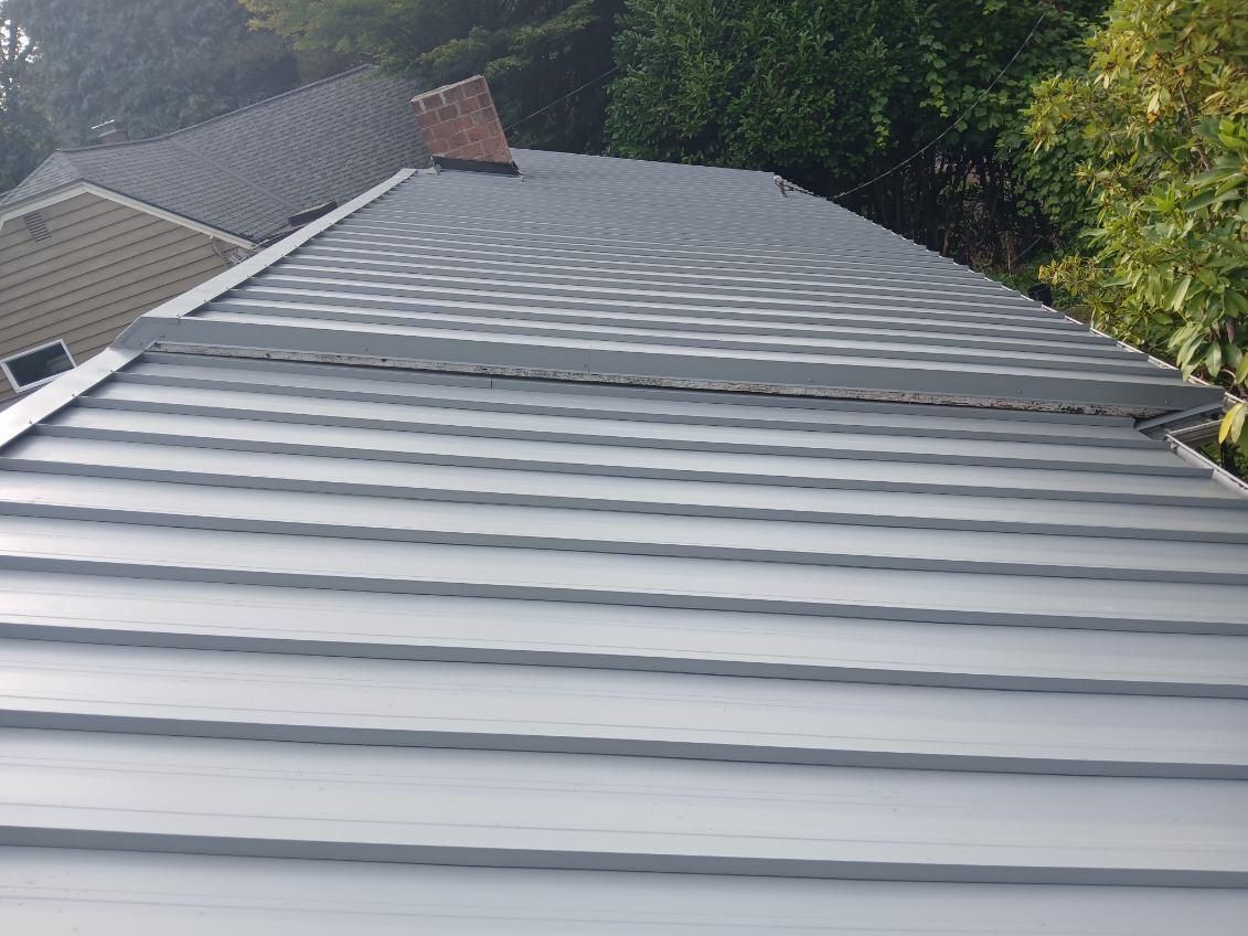 Metal roof with gray panels sloping down beside dense green trees