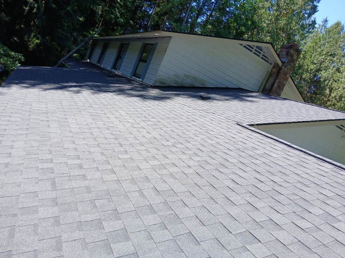 Tilted view of a shingled roof with dormer windows and trees in the background