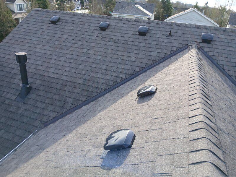 Rooftop with dark shingles and several vents, viewed from above.