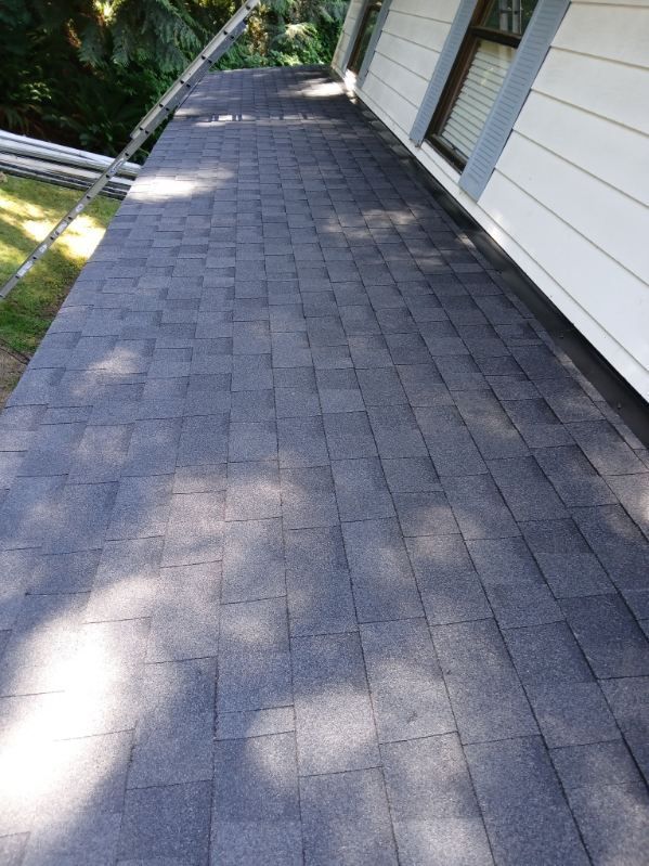Shingled rooftop walkway beside a white-sided house, with trees casting shadows.