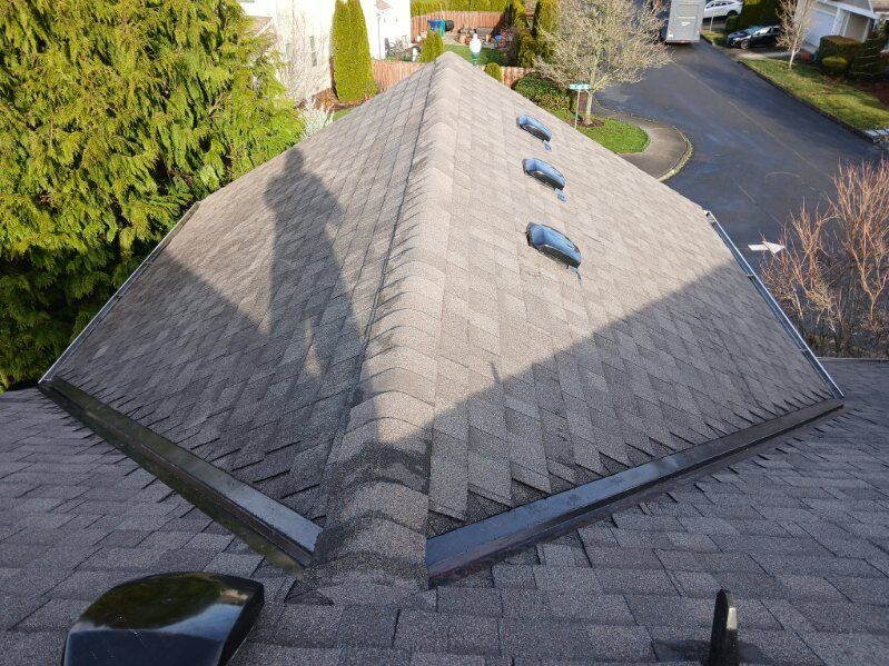 Pyramid-shaped gray shingled roof with skylights, viewed from above on a residential property