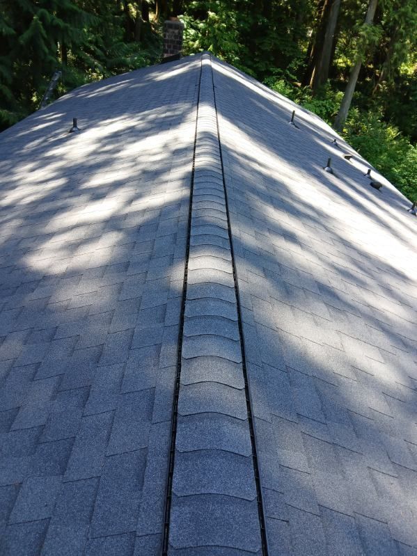 Gray shingled roof with a central ridge, viewed from above, surrounded by green trees and dappled sunlight