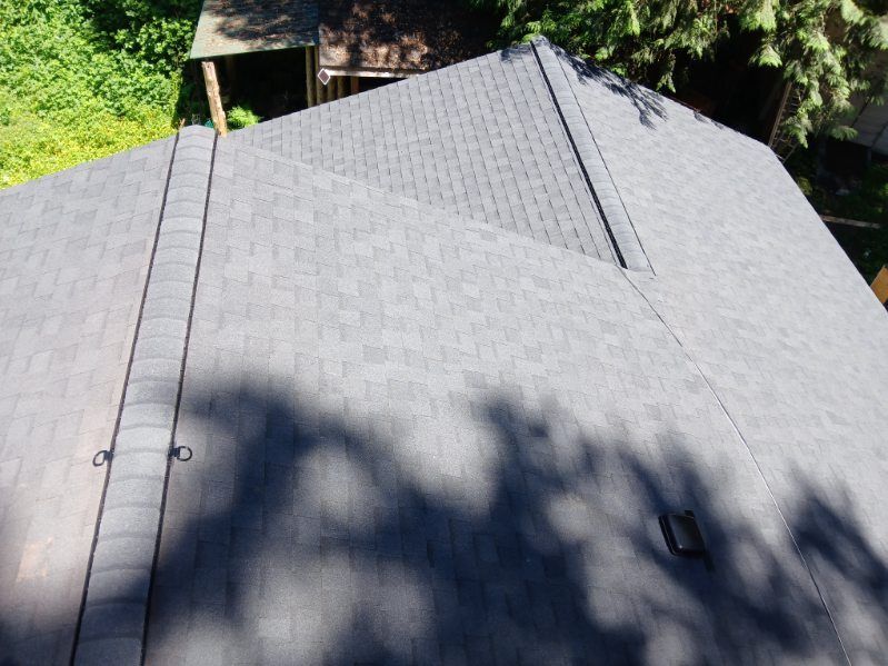 Shingled house roof with tree shadows and a grassy yard at the edge