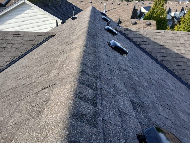Aerial view of a gray shingled roof with several black vents and neighboring houses visible.