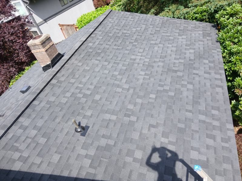 Gray shingled roof with chimney and nearby trees, viewed from above