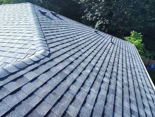 Gray shingle roof with a steep slope and tree-lined background