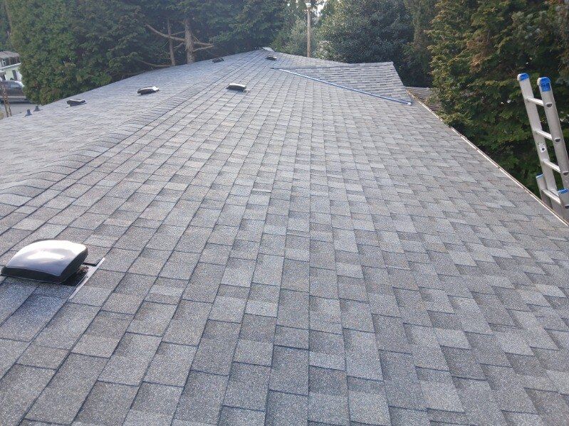 Gray shingled roof with vents and a ladder at the edge, viewed from above.