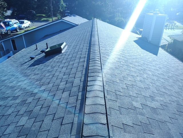 Steep shingled roof with ridge vent and skylight, bright sun glare, trees and parked cars below