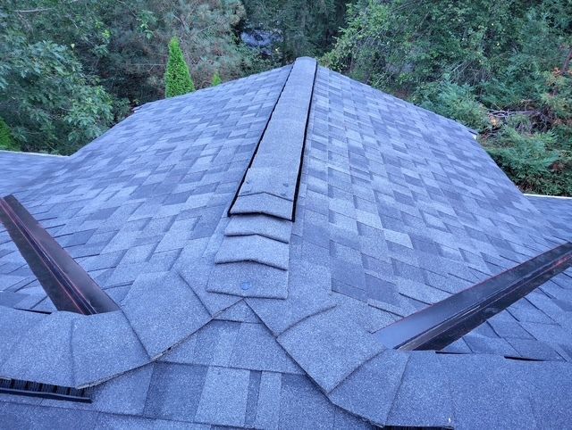 Gray shingled roof with central ridge vent, viewed from above, surrounded by dense green trees