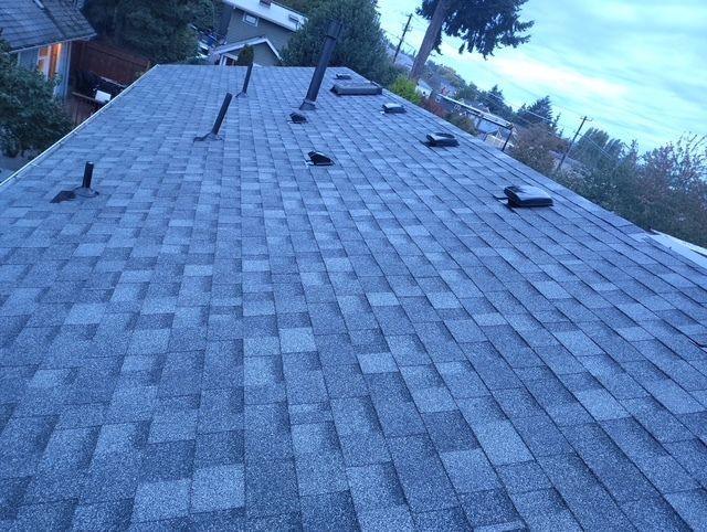 Shingled roof with several vents and a rooftop chimney, viewed at dusk.