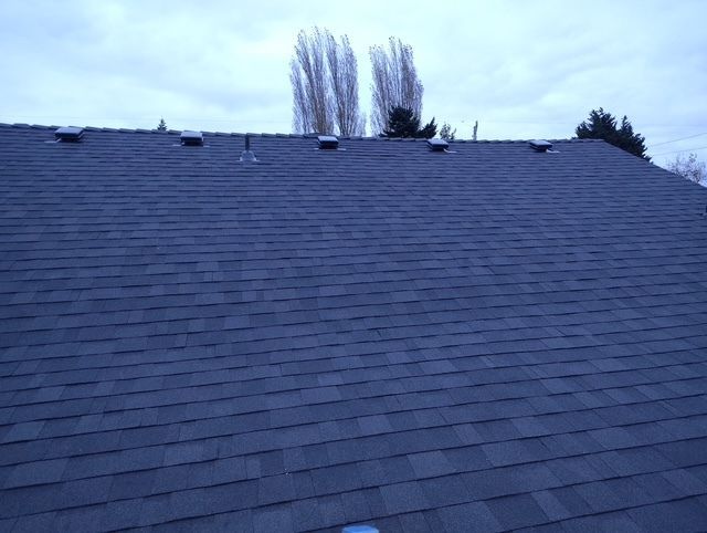 Blue-gray shingled roof with trees visible above the ridge line