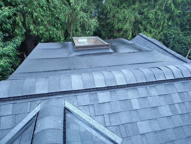 Gray shingled roof with a skylight, bordered by green trees