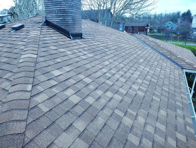 Gray shingled roof with chimney and skylight, viewed from above on an overcast day