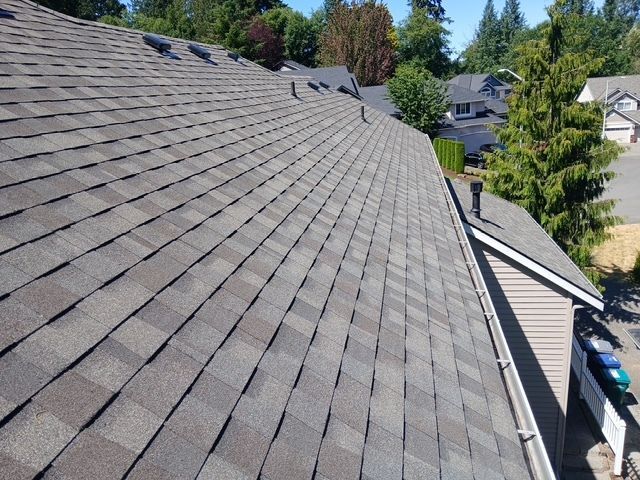 Residential shingle roof with a row of skylights and trees and houses in the background