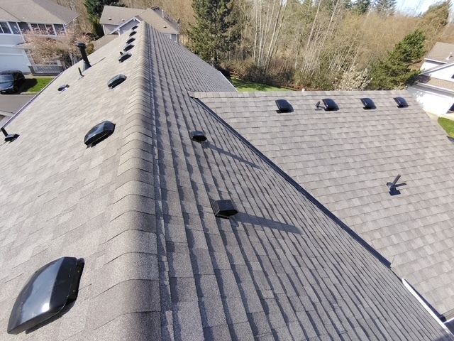 Gray shingled roof with skylights and vents on a house in a wooded neighborhood
