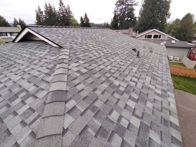 Gray shingle roof with ridge vent and skylight, viewed from above on a house in a wooded neighborhood