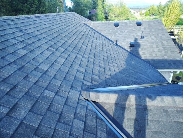 Gray shingled rooftops with skylights and surrounding trees on a sunny day