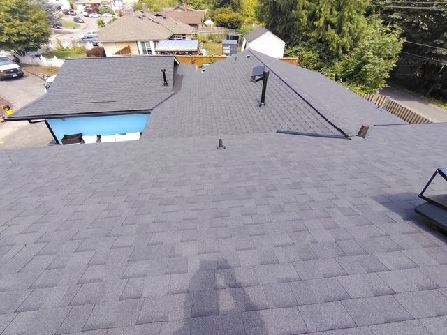Rooftop with dark gray shingles, vents, and neighboring houses visible in the background.