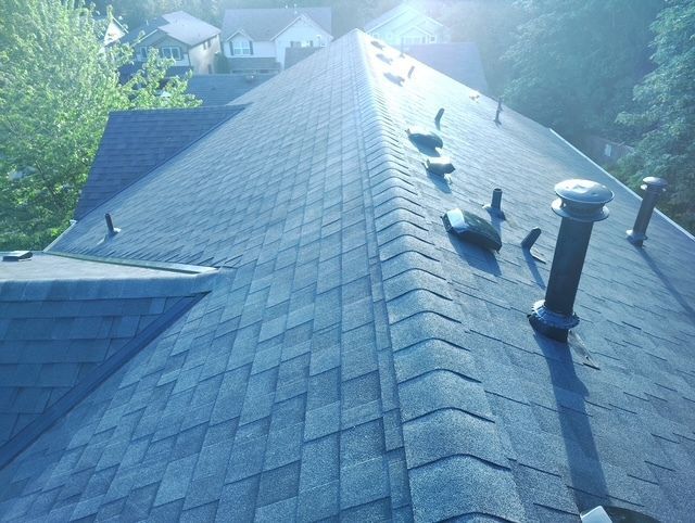 Blue shingle roof with vents and bright sunlight, viewed from above in a suburban neighborhood