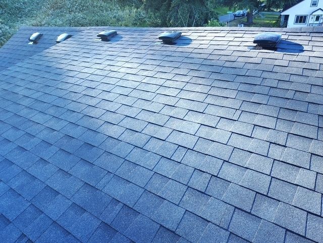 Blue shingled roof with several vents, viewed from above in daylight